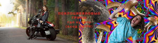 дживик Алексеевка