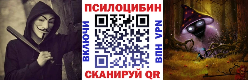 omg зеркало  Венёв  Псилоцибиновые грибы MAGIC MUSHROOMS  наркошоп 